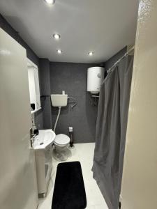 a bathroom with a toilet and a sink at Stan na dan Despotovac in Despotovac