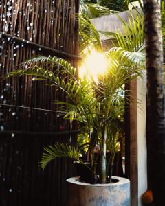 Imagen de la galería de Mia Tulum Beachfront Resort - Ocean View Suites and Beach Club, en Tulum