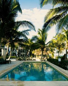 Piscina en o cerca de Mia Tulum Beachfront Resort - Ocean View Suites and Beach Club