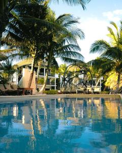 Piscina en o cerca de Mia Tulum Beachfront Resort - Ocean View Suites and Beach Club