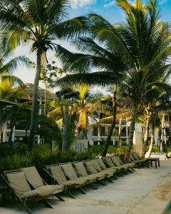 Jardín al aire libre en Mia Tulum Beachfront Resort - Ocean View Suites and Beach Club