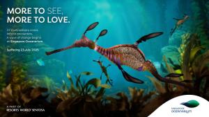 ein Bild von einem Fisch in einem Aquarium in der Unterkunft Resorts World Sentosa - Hotel Ora in Singapur