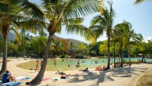 a beach with palm trees and people in the water at Whitsunday Pandanus-Stylish 2 bedroom townhouse in quiet location in Cannonvale
