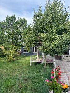 a house with a tree and a bench in the yard at Elai Guest House in Kazarman