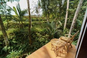 Zahrada ubytování Adhidrawa Ubud