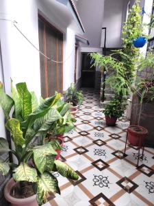 un pasillo con plantas en el piso de un edificio en Kanha Homestay, en Ayodhya
