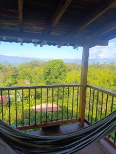 a hammock on a porch with a view of the forest at La cabaña - Finca los Martinez in Támesis +15 photos