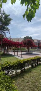 Κήπος έξω από το Casa Oasis Meneses