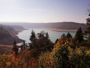 a view of a lake from a hill with trees at Chalet chaleureux - Cerf in Maisod