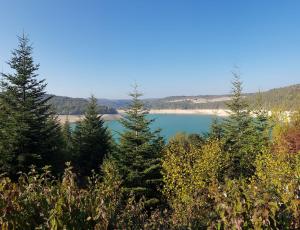 a view of a lake with trees in the foreground at Chalet chaleureux - Cerf in Maisod