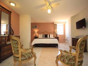TV a/nebo společenská místnost v ubytování Hotel Argento Zacatecas