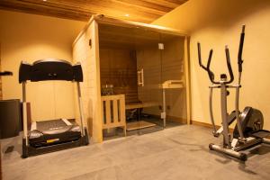 a room with a gym with a treadmill and a mirror at La Clusaz chalet Anthocyane 14 people, heated pool in La Clusaz