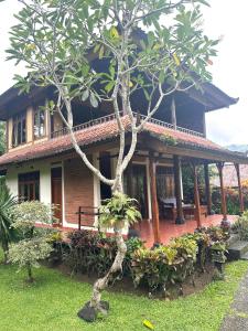 a house with a tree in front of it at Lihat Sawah Cottage in Sidemen +16 photos