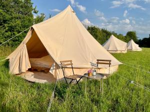 RingeBoltinge Glamping的田野上带两把椅子和一张桌子的帐篷