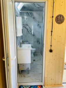 a bathroom with a sink and a toilet at ორსაძინებლიანი კოტეჯი  +11 photos