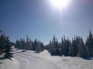 Cottage in Liberec with Sauna and Ski Nearby semasa musim sejuk