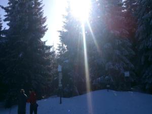 Cottage in Liberec with Sauna and Ski Nearby semasa musim sejuk