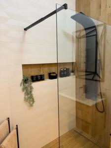 a glass shower door with a television in it at Apartament Anna De Lux z tarasem Zamość-Roztocze in Zamość +51 photos