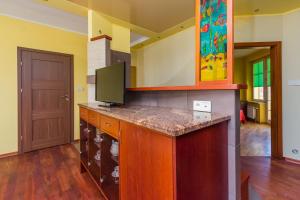 a kitchen with a counter with a tv on it at Apartament Stare Miasto 2 in Elblag