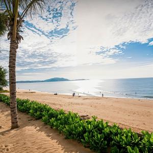 a palm tree on a beach with people in the water at Chambay Golden Breeze Palm in Ấp Thiẹn Ái