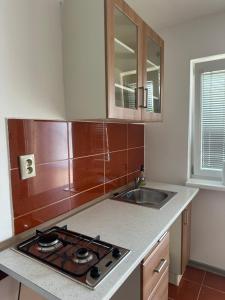 A kitchen or kitchenette at Apartmánový dom RED