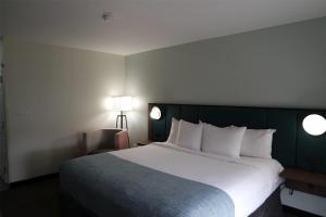 Fotografie z fotogalerie ubytování Wingate by Wyndham Kings Bay Naval Base I-95 v destinaci Kingsland + 76 fotografií