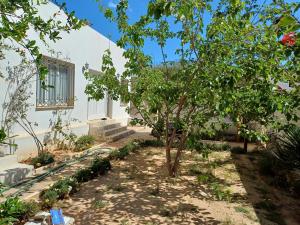 a garden in front of a white building with a tree at Baraka in Aghīr