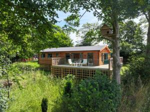 Κήπος έξω από το Owl Lodge