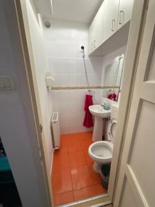 a bathroom with a toilet and a sink at ZLM Ultra Central Room in Târgu-Mureş +20 photos