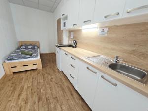 a kitchen with a sink and a counter top at Studio Havelka in Železná Ruda