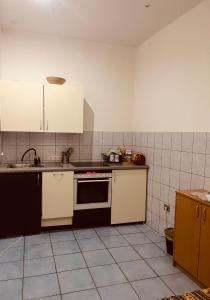 Kuchyň nebo kuchyňský kout v ubytování Apartman Vinkov's center