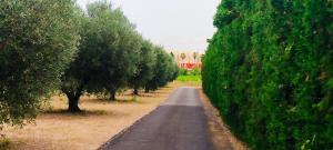 a road with trees on the sides of it at appartement proche zenith in Montpellier