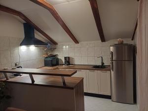 a kitchen with a stainless steel refrigerator at Petra in Ražanac
