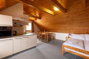 a kitchen and living room with a bed in a room at Aberto Jizerky in Albrechtice v Jizerských horách