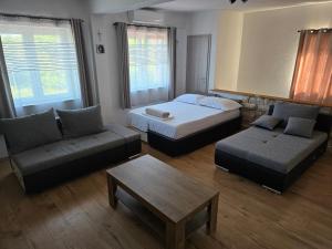 a bedroom with a bed and a couch and a table at Holiday house LUMA in Hrvace +38 photos
