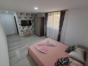 a bedroom with a pink bed and a television at Vila D&V in 2 Mai