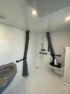 une salle de bain avec un lavabo et des toilettes dans l'établissement Care-accessible Cosy Cottage 4 personen, à Kasterlee