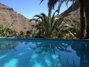 una piscina con palmeras y una montaña en La Joya, en El Sao