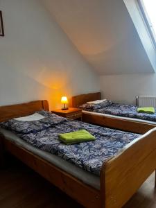 two twin beds in a room with a lamp at MAGURA in Pszczeliny +14 photos