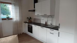 Η κουζίνα ή μικρή κουζίνα στο Apartmán v Podhradí Boskovice