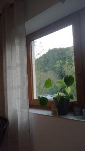 Γενική θέα στο βουνό ή θέα στο βουνό από  αυτό το διαμέρισμα