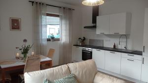 Η κουζίνα ή μικρή κουζίνα στο Apartmán v Podhradí Boskovice
