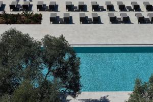 Piscina di Almyra o nelle vicinanze