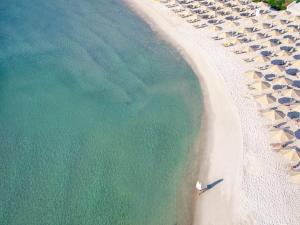 an aerial view of a beach with umbrellas and the ocean at Makryammos in Limenas