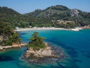 an island with a tree in the middle of the water at Makryammos in Limenas