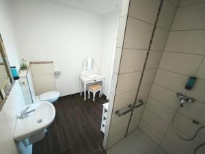 a bathroom with a shower and a sink and a toilet at Apartment London Garten & Pool als Extra möglich barrierefrei in Mühlhausen +13 photos