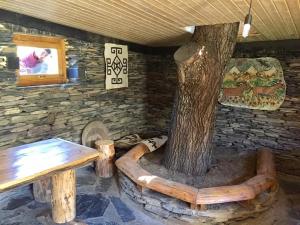 Gallery image of Guesthouse Tushetian Tower in Omalo