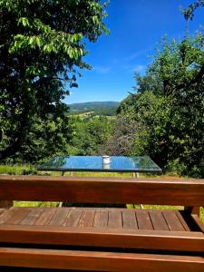 a bench with a pool in the middle of a hill at Górska Przygoda in Koniaków