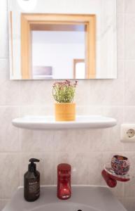 シュネーヴァーディンゲンにあるHeideidyll - Wohnung mit WLAN, Balkon, Grill & Garageの棚に植木鉢が置かれた洗面台のある浴室 +38枚の写真