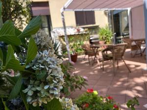 Zahrada ubytování Albergo Salerno